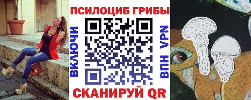 Псилоцибиновые грибы мицелий  Дудинка 